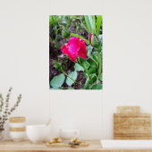 rozen pastel bloeien poster (Keuken)