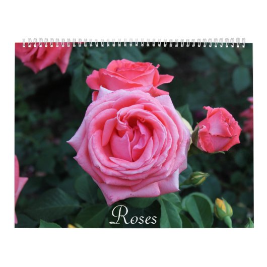 Rozen Portretagenda Kalender (Hoes)