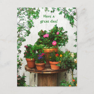 Rozen Post Card Briefkaart