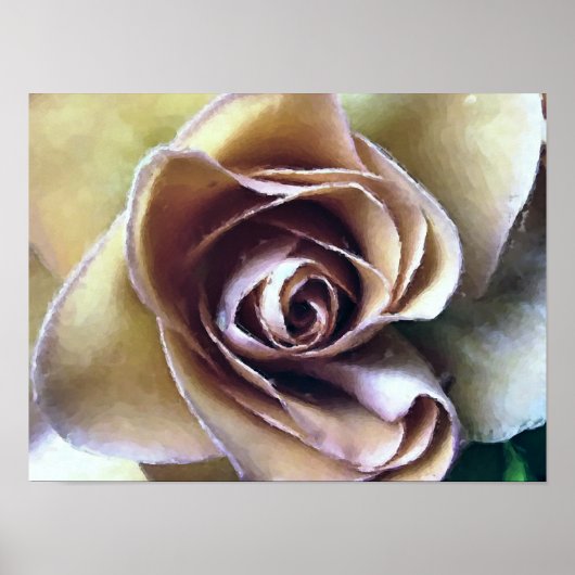 ROZEN POSTER (Voorkant)