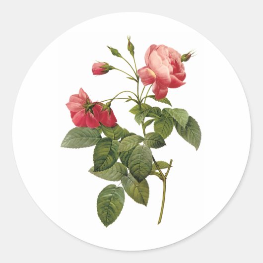 Rozen Ronde Sticker (Voorkant)