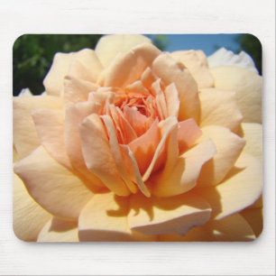 ROZEN, ROOS BLOEMEN MUIS MATTEN MUISMAT
