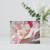 ROZEN Roze Witte Rozenbloemen 1 Kaarten Geschikt v (Staand voorkant)