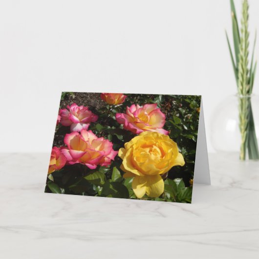 Rozen, Rozen, Rozen! Feestdagen Kaart (Voorkant)