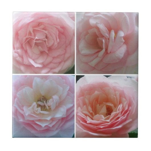 Rozen Tegeltje (Voorkant)