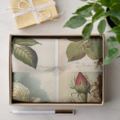 Rozen Tissuepapier (Geschenk)