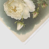 Rozen Tissuepapier (Detail)