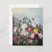 Rozen uit de "tempel van Flora" Briefkaart (Voorkant / Achterkant)