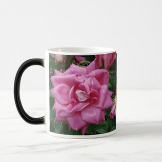 Rozen van de Mok van Vriendschap en Liefde