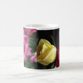 Rozen van de Mok van Vriendschap en Liefde (Center)