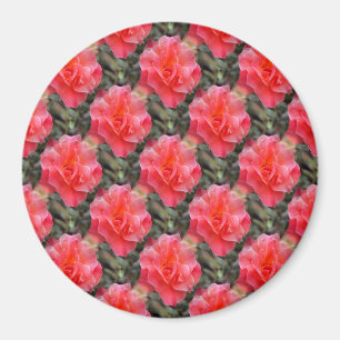 Rozen van Liefde....... Magneet