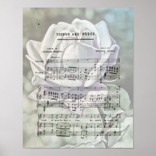 Rozen vel muziek Art Poster