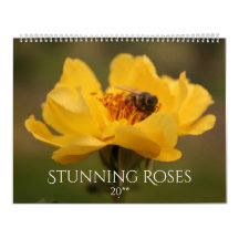 Rozen verbluffende fotografie 2020