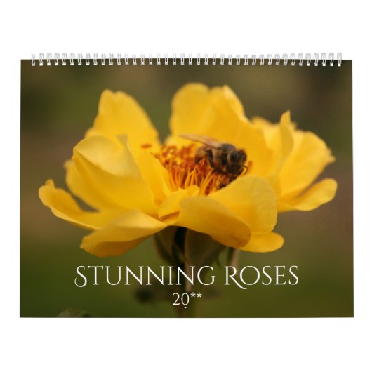 Rozen verbluffende fotografie 2020 kalender (Hoes)