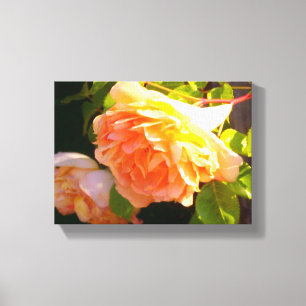 Rozen voor landdoorsnede canvas afdruk