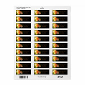 Rozen voor landdoorsnede etiket (Full Sheet)