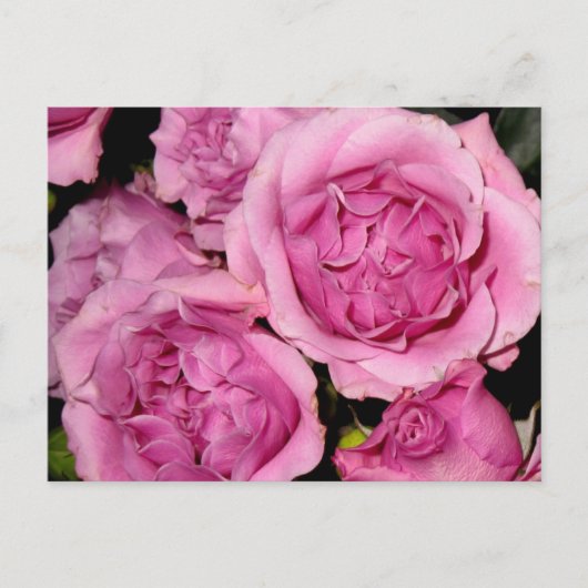 Rozen voor moeder briefkaart (Voorkant)