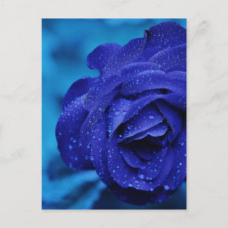 Rozen zijn blauw briefkaart