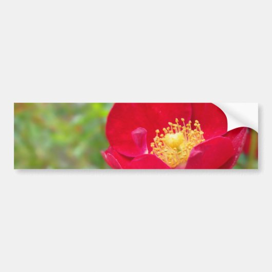 Rozen zijn rode Bumpersticker (Voorkant)