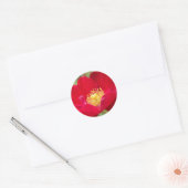 Rozen zijn rode stickers (Envelop)