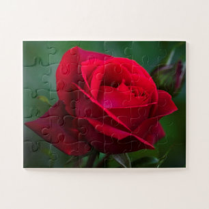 Rozen zijn rood, 11 x 14 inch, eenvoudig legpuzzel