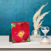 Rozen zijn rood fotoplaque fotoplaat (Insitu)