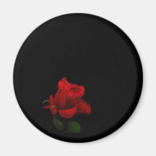 Rozen zijn rood magneet
