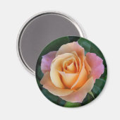 Rozen zijn rood, tenzij ze Peach zijn! Magneet (Voorkant / Achterkant)