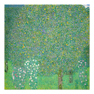 Rozenstruiken onder de bomen door Gustav Klimt Foto Afdruk
