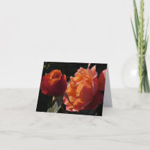 Rozentuin Fijne Kunst Fotografie Vouwbare Notitiek