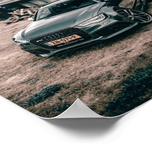 rs6beast poster (Coin)