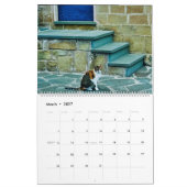 RSD over de hele wereld | Katten van de Balkan Kalender (Mar 2027)