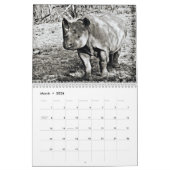 RSD Rond de Wereld | Zuid-Afrika Safari Dieren Kalender (Mar 2026)