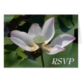 RSVP (Devant horizontal)