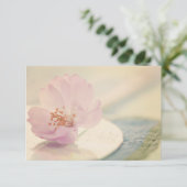 RSVP Delicate Soft Pink Cherry Blossom Flower (Staand voorkant)