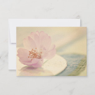 RSVP Delicate Soft Pink Cherry Blossom Flower Kaartje