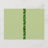 RSVP Event and Wedding Invitation Briefkaart (Achterkant)