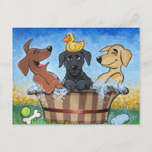 Rub a dub dub 3 Labs in Tub Postcard Briefkaart