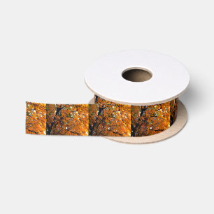 Ruban En Satin Ambre Feuilles de l'automne