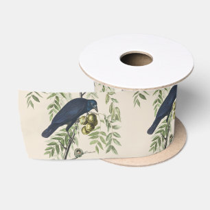 Ruban En Satin Art de la nature de corbeau américain Audubon vint