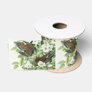 Ruban En Satin Art vintage d'Audubon sur la tourterelle triste, o