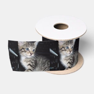 Ruban En Satin Attention Au Kitten,