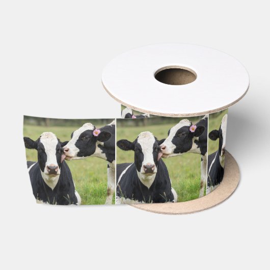 Ruban En Satin Baiser de vache Holstein (Bobine)