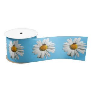 Ruban En Satin Bee on Daisy Alaskan Summer Nature