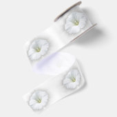 Ruban En Satin blanc et gris (Dos)