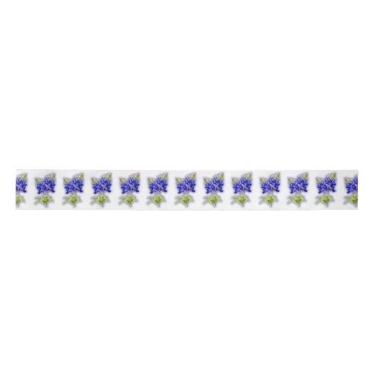 Ruban En Satin Bluebonnets texans sur blanc avec une focalisation (Devant)