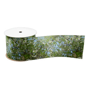 Ruban En Satin Branches de fleurs de cornouiller, arbres printani
