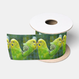 Ruban En Satin Budgie_2015_0604