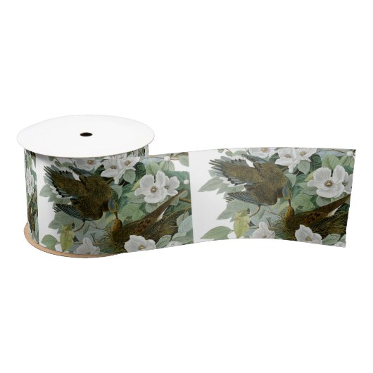 Ruban En Satin Carolina Pigeon Audubon Morning Dove (Bobine)