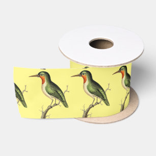 Ruban En Satin Colibri Perched Thunder_Cove